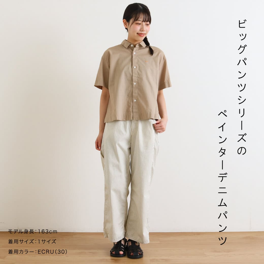 HARVESTY ハーベスティ ペンシルストライプ ビッグペインターパンツ