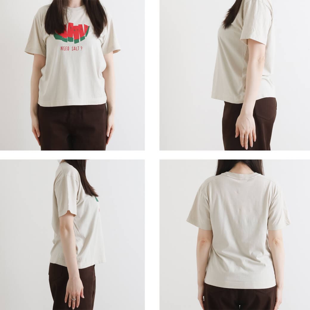 NATURAL LAUNDRY ナチュラルランドリー コーマ天竺 スイカTシャツ