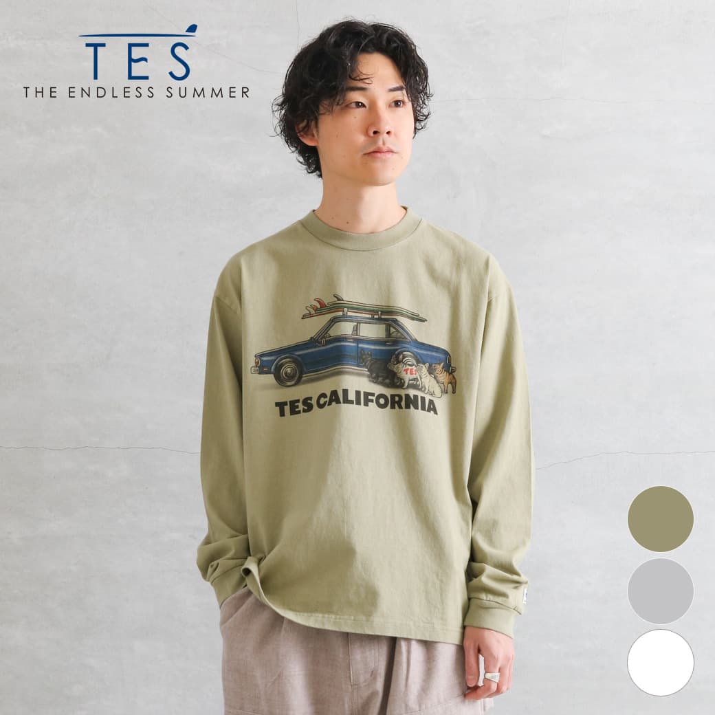 THE ENDLESS SUMMER ザ エンドレスサマー テス ブシ チェイシング