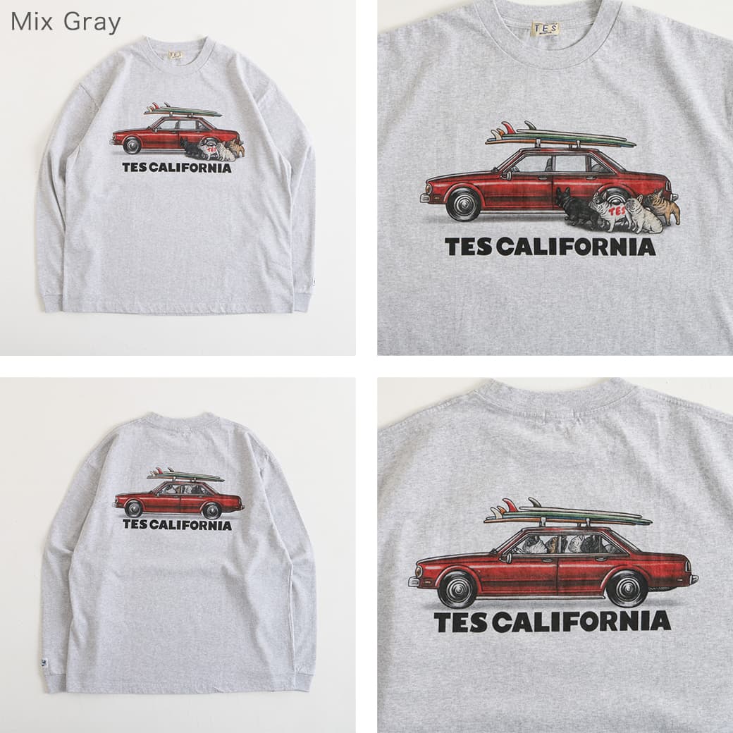 THE ENDLESS SUMMER ザ エンドレスサマー テス ブヒ チェイシング