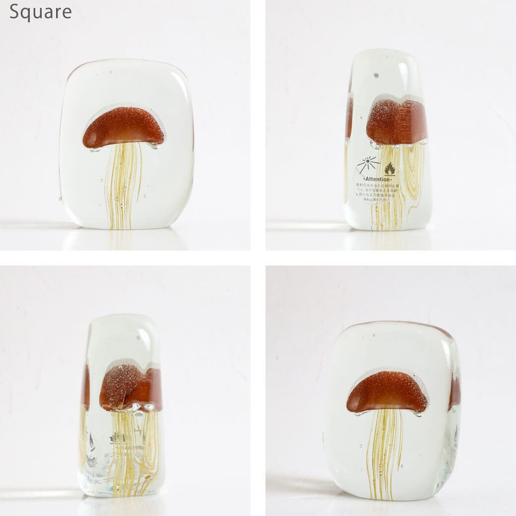 HERE by DETAIL ヒア バイ ディテール ジェリーフィッシュ ペーパー