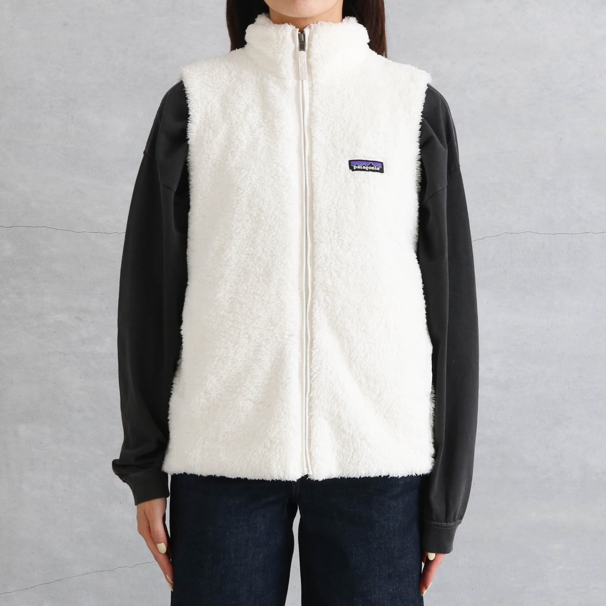 ベスト　パタゴニア パタゴニア PATAGONIA レトロ・パイル・ベスト 22821 ベスト 5