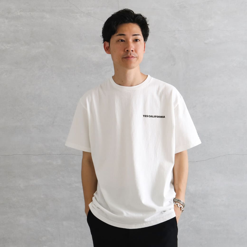 THE ENDLESS SUMMER ザ エンドレス サマー テス 4カラー ブヒ チェアー Tシャツ