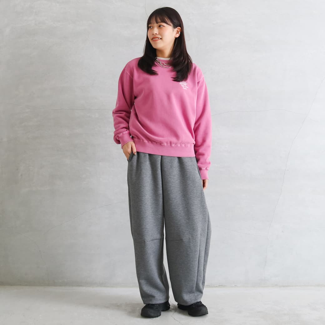 ⭐️超美品⭐️ 現物写真あり L size HSCHOOL スウェット ⭐️超美品⭐️ 現物写真あり L size HSCHOOL スウェット アソート