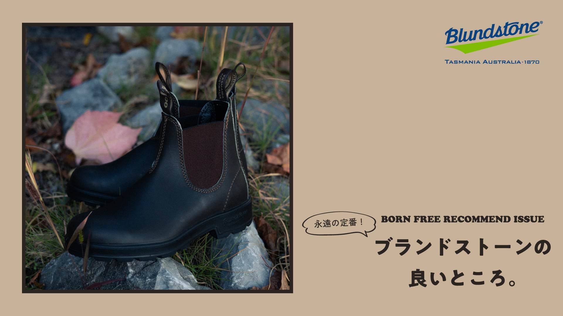 BORN FREE RECOMMEND ISSUE「ブランドストーンの良いところ。」 | BORN